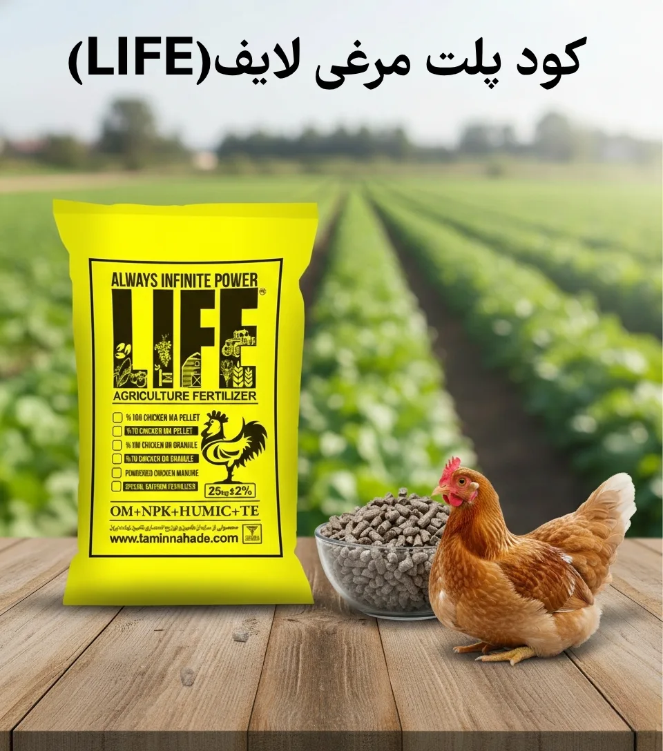 شکل پلت و بسته بندی محصول لایف