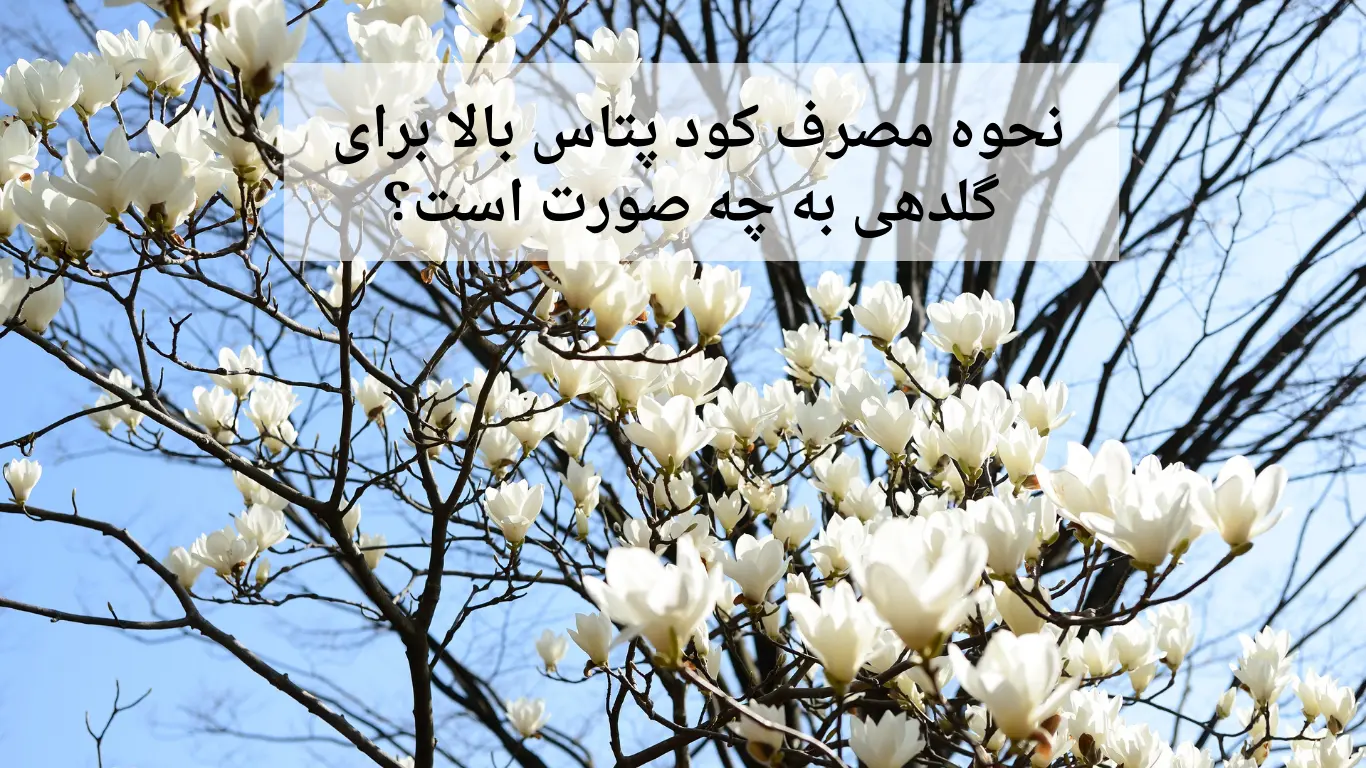 نحوه مصرف کود پتاس بالا برای گلدهی به چه صورت است؟