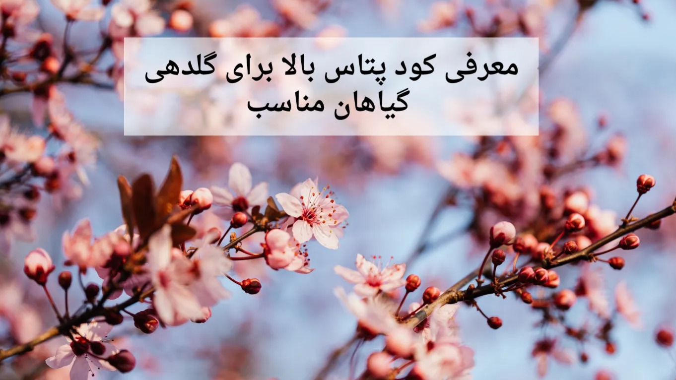 بهترین کود پتاس بالا برای گلدهی